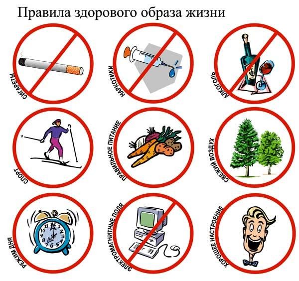 зож зож